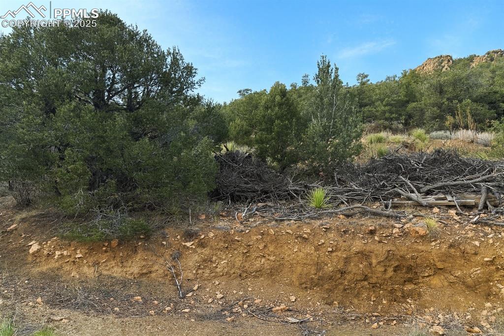 2973 Driftwood Road Westcliffe CO 81252