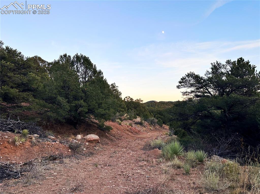 2973 Driftwood Road Westcliffe CO 81252