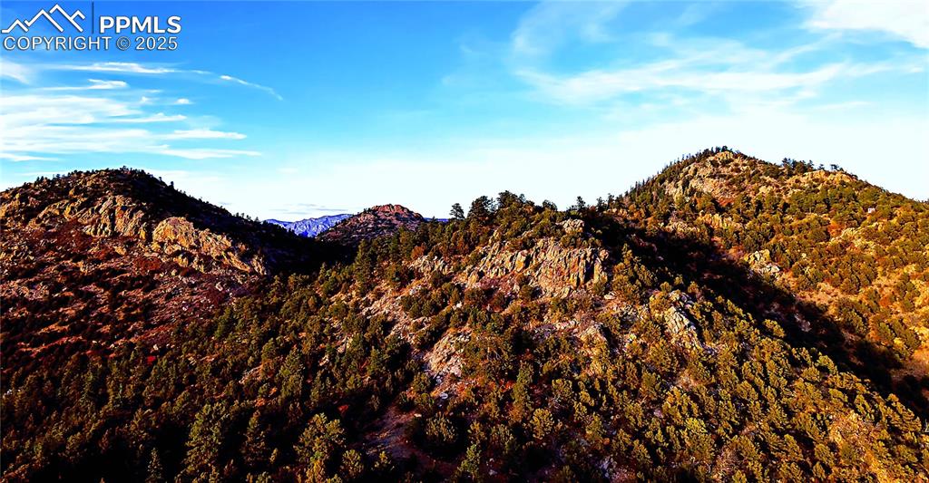 2973 Driftwood Road Westcliffe CO 81252