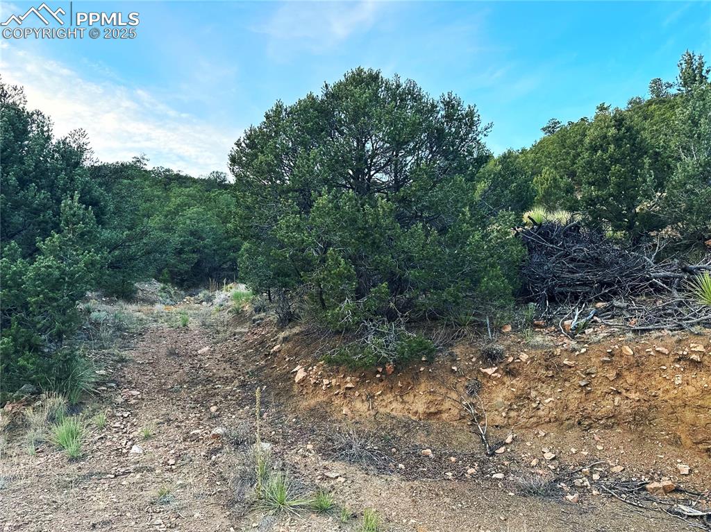 2973 Driftwood Road Westcliffe CO 81252