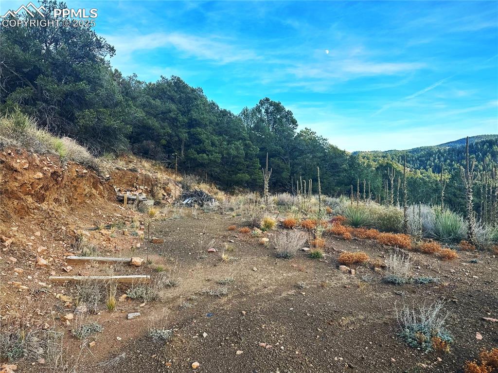 2973 Driftwood Road Westcliffe CO 81252
