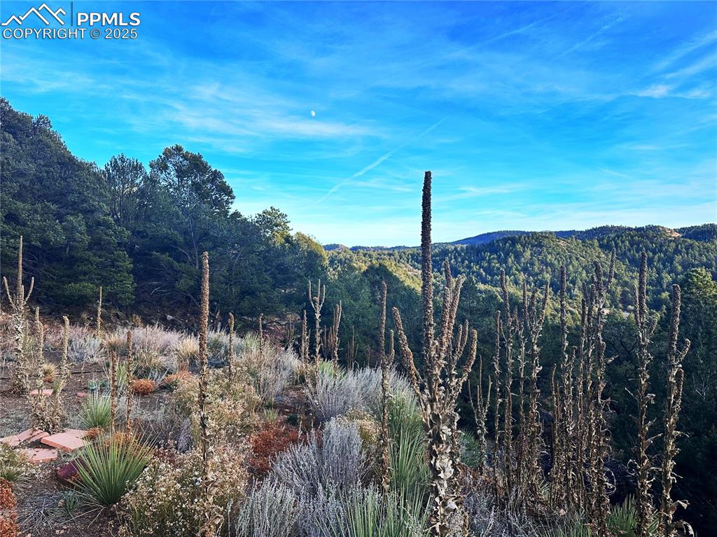2973 Driftwood Road Westcliffe CO 81252