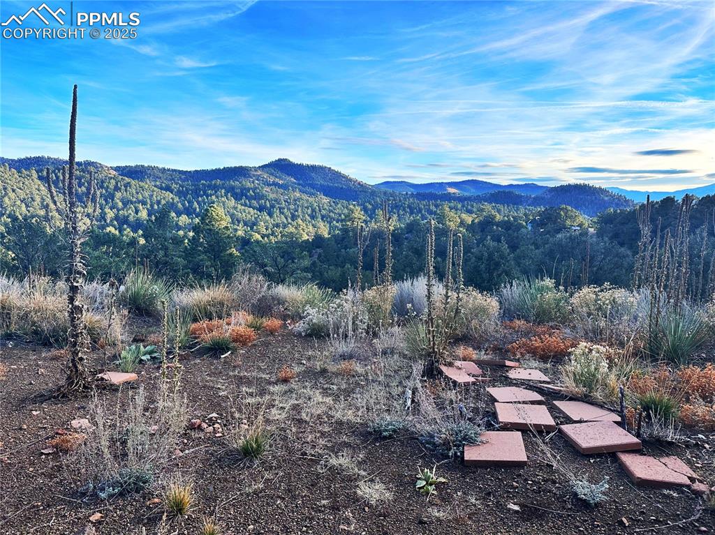 2973 Driftwood Road Westcliffe CO 81252