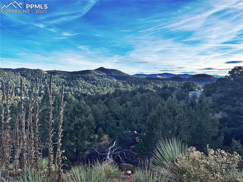 2973 Driftwood Road Westcliffe CO 81252