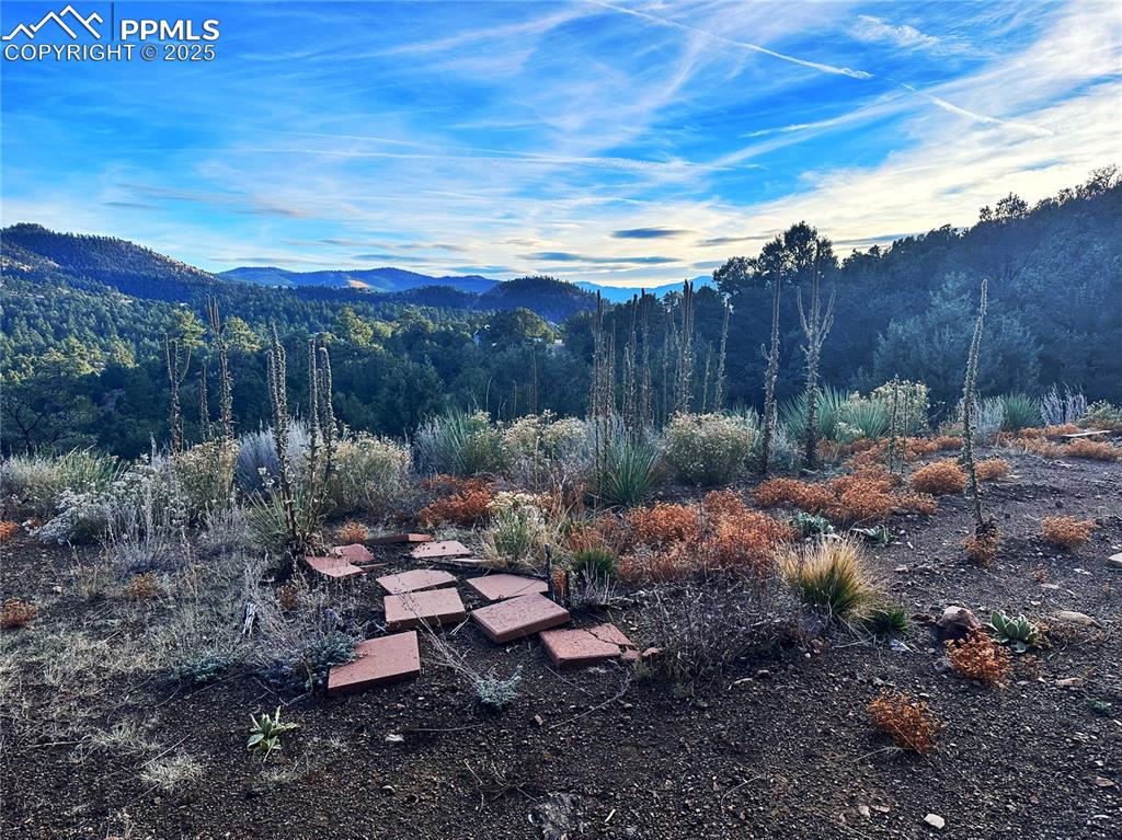 2973 Driftwood Road Westcliffe CO 81252