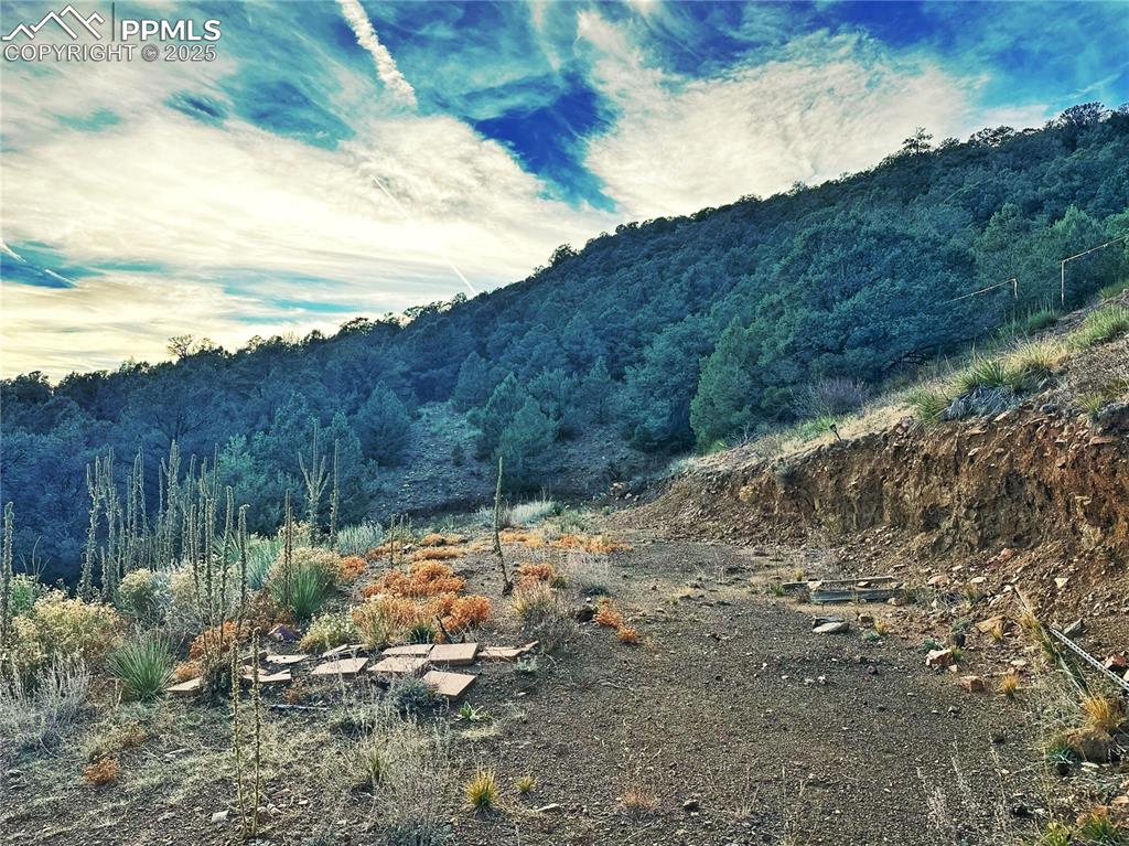 2973 Driftwood Road Westcliffe CO 81252
