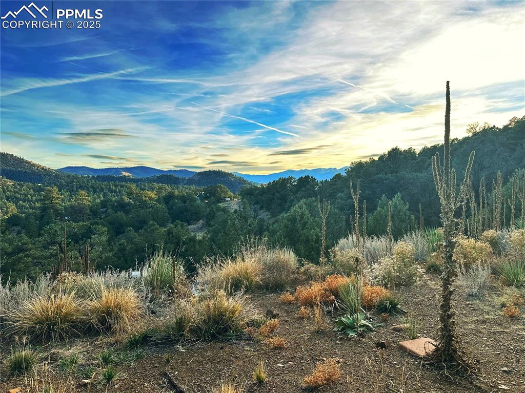 2973 Driftwood Road Westcliffe CO 81252
