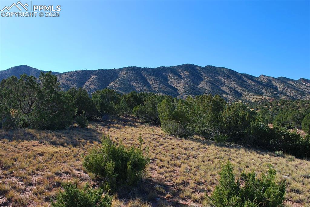 601 County Road 69 Canon City CO 81212