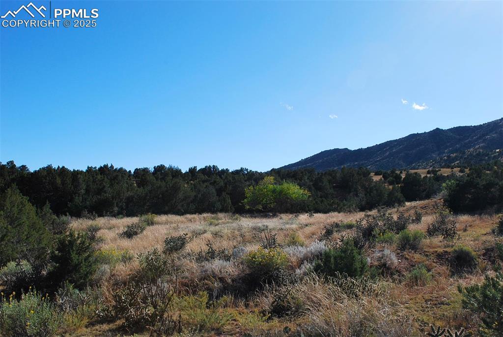 601 County Road 69 Canon City CO 81212