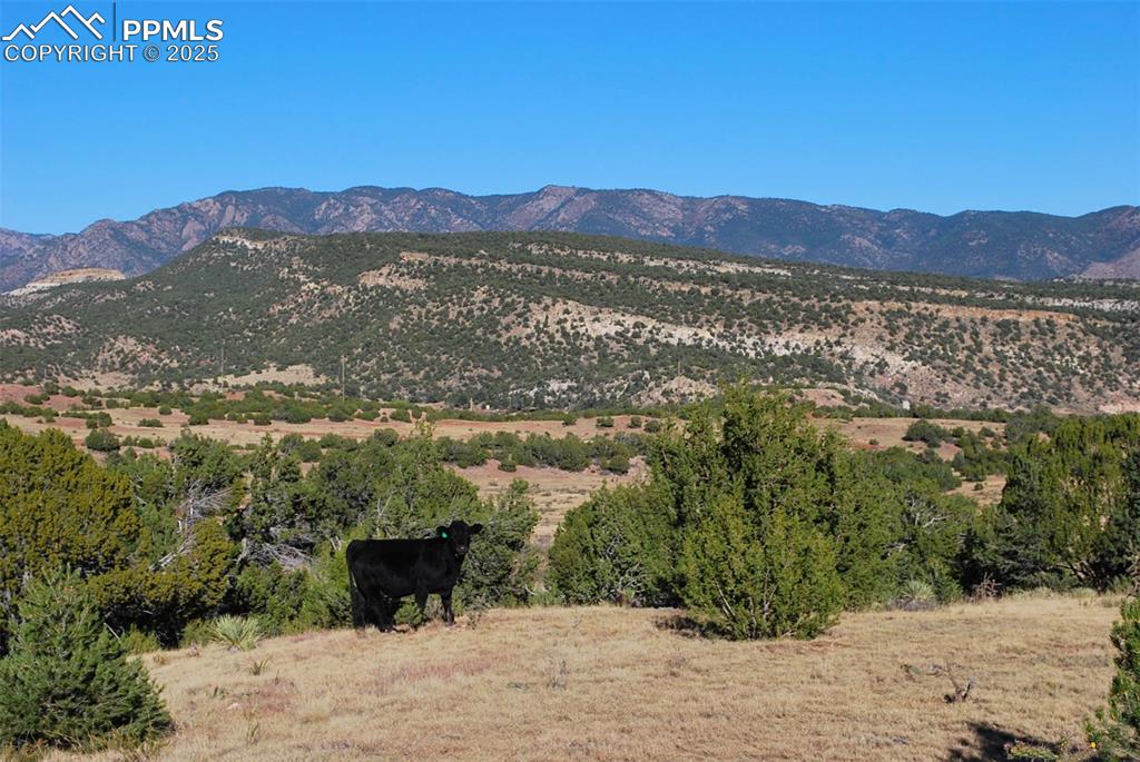 601 County Road 69 Canon City CO 81212