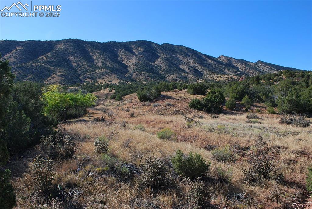601 County Road 69 Canon City CO 81212