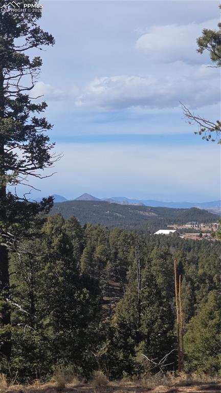 169 Osoeola Road Woodland Park CO 80863