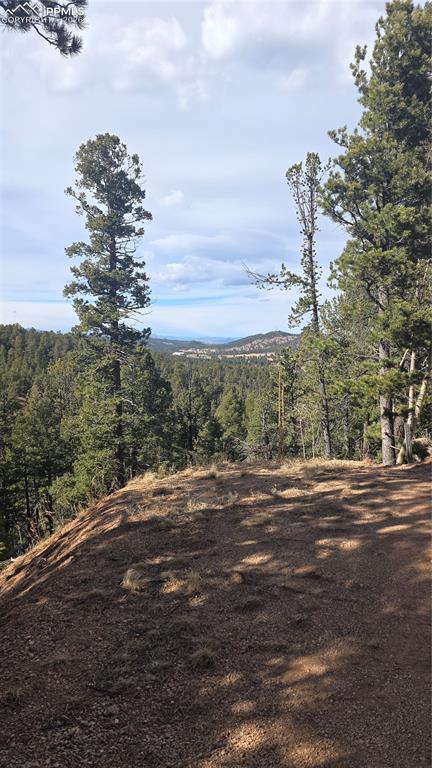169 Osoeola Road Woodland Park CO 80863