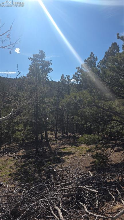 169 Osoeola Road Woodland Park CO 80863