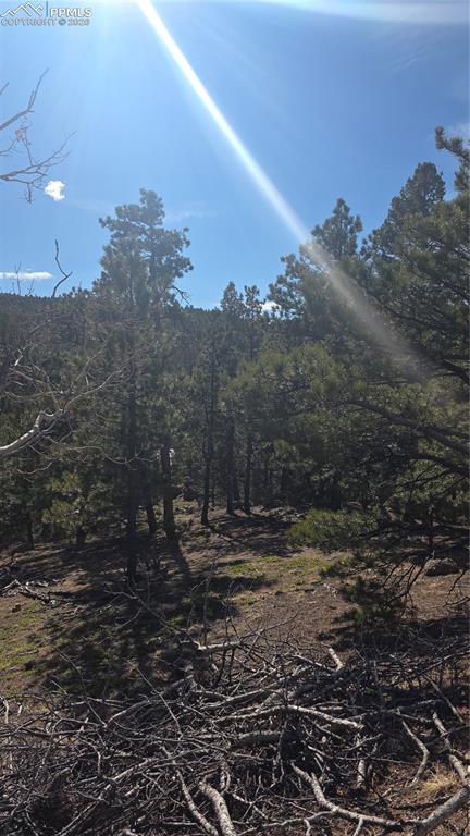 169 Osoeola Road Woodland Park CO 80863