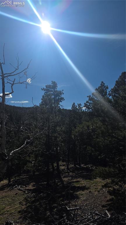 169 Osoeola Road Woodland Park CO 80863