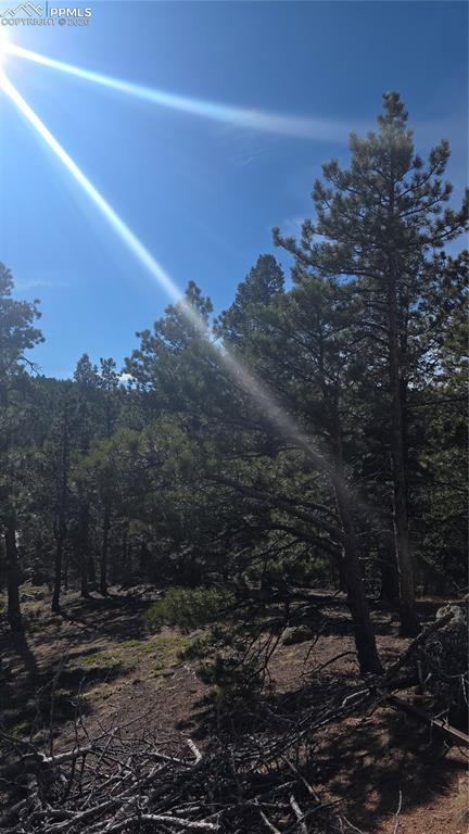 169 Osoeola Road Woodland Park CO 80863