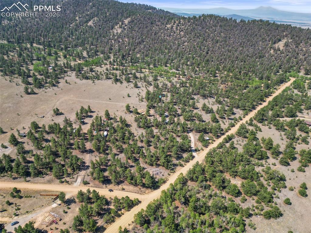 3948 S Muley Gulch Drive Hartsel CO 80449