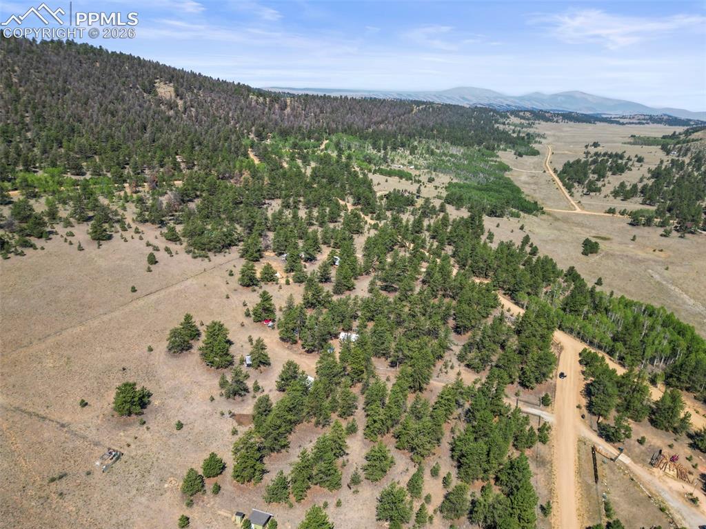3948 S Muley Gulch Drive Hartsel CO 80449