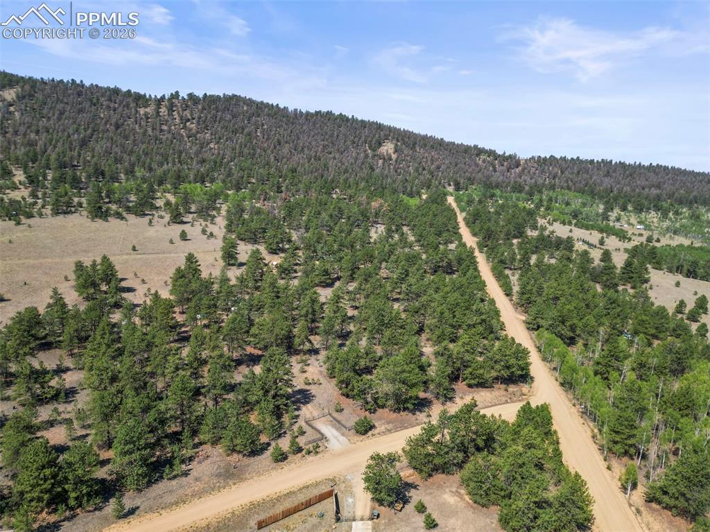 3948 S Muley Gulch Drive Hartsel CO 80449