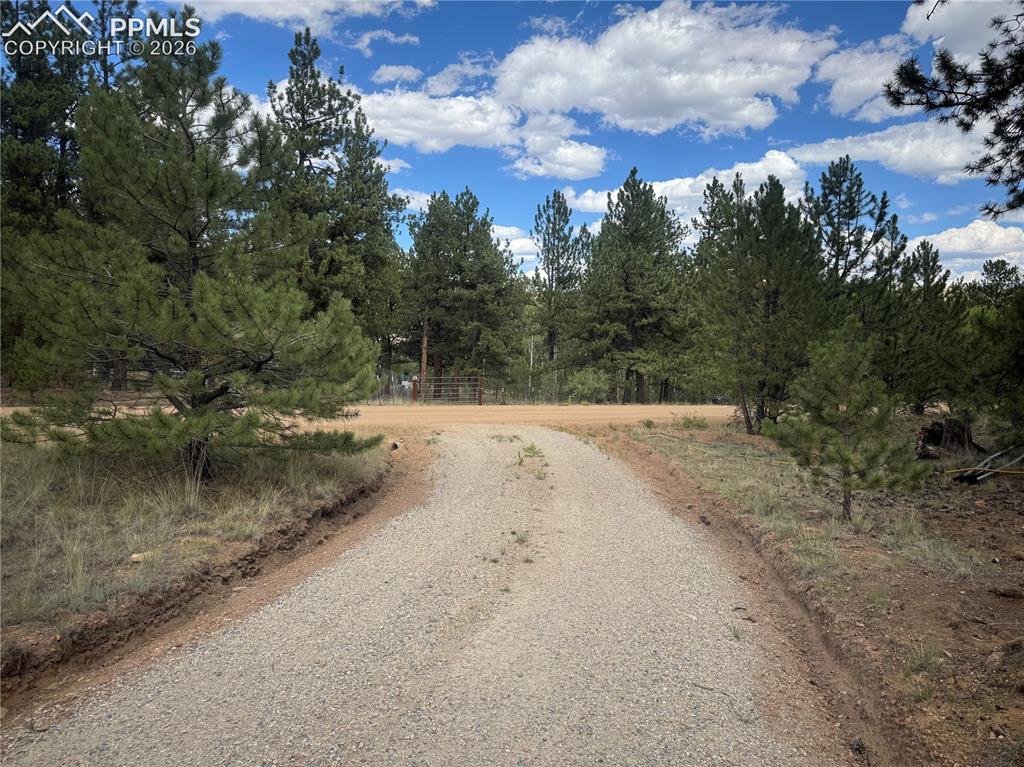 3948 S Muley Gulch Drive Hartsel CO 80449