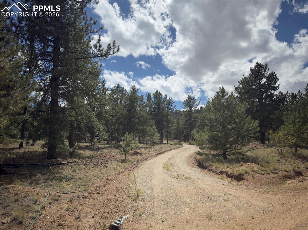 3948 S Muley Gulch Drive Hartsel CO 80449