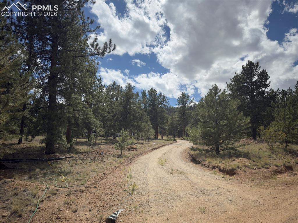 3948 S Muley Gulch Drive Hartsel CO 80449