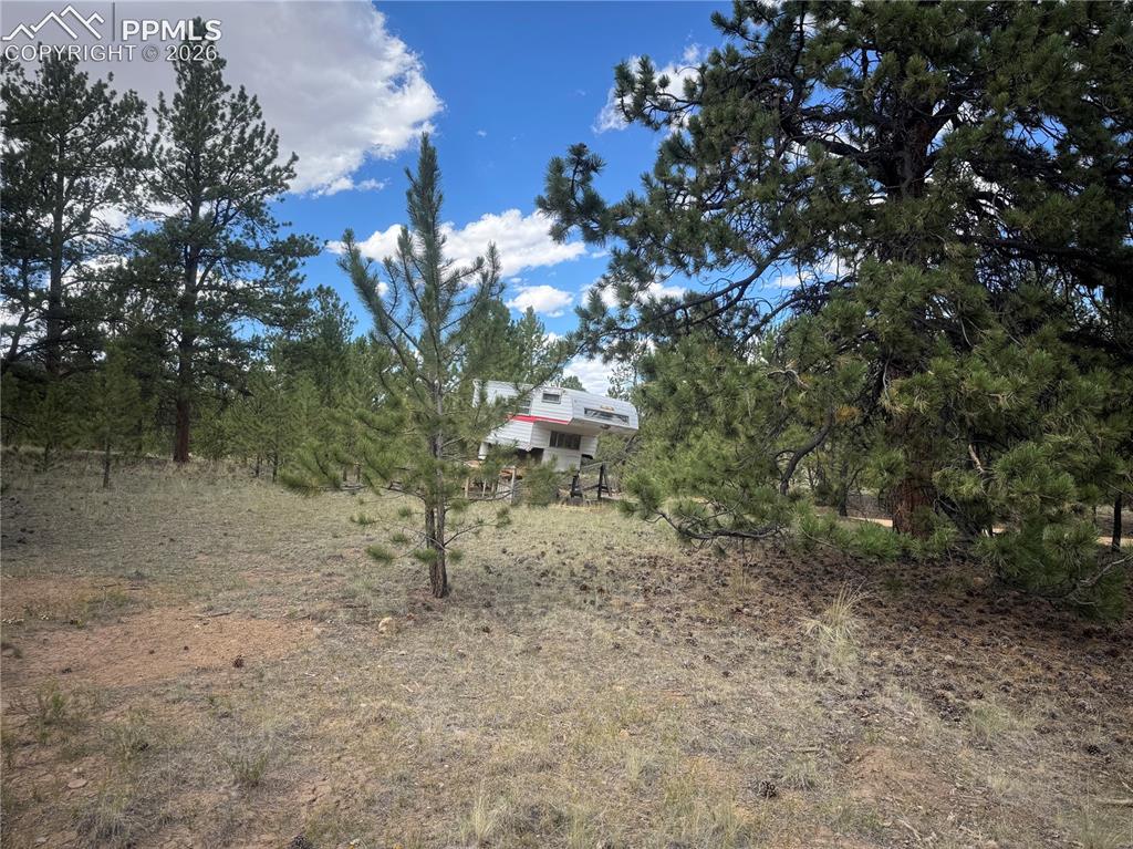 3948 S Muley Gulch Drive Hartsel CO 80449