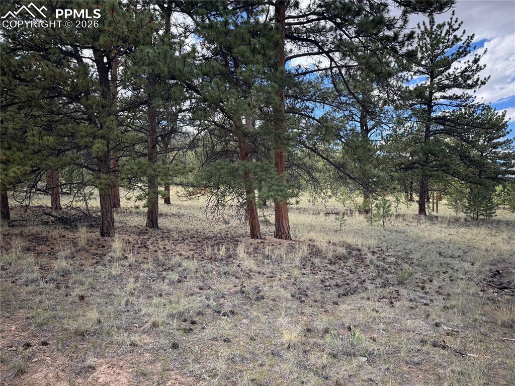 3948 S Muley Gulch Drive Hartsel CO 80449
