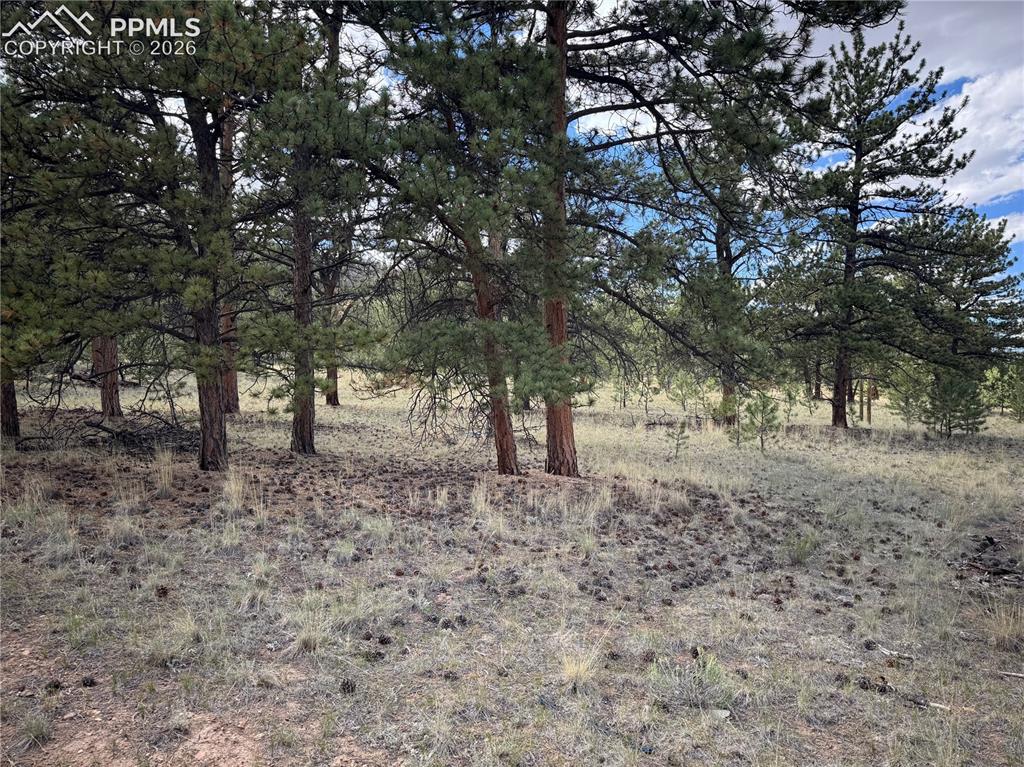 3948 S Muley Gulch Drive Hartsel CO 80449