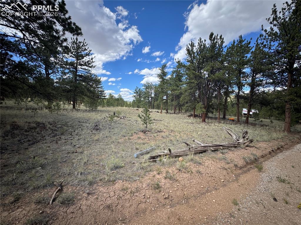 3948 S Muley Gulch Drive Hartsel CO 80449