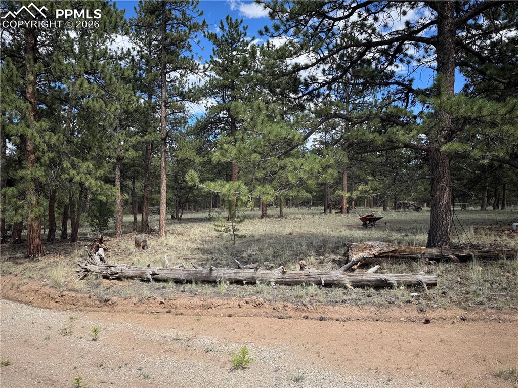 3948 S Muley Gulch Drive Hartsel CO 80449