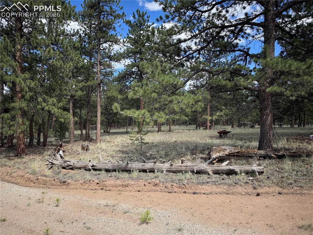3948 S Muley Gulch Drive Hartsel CO 80449