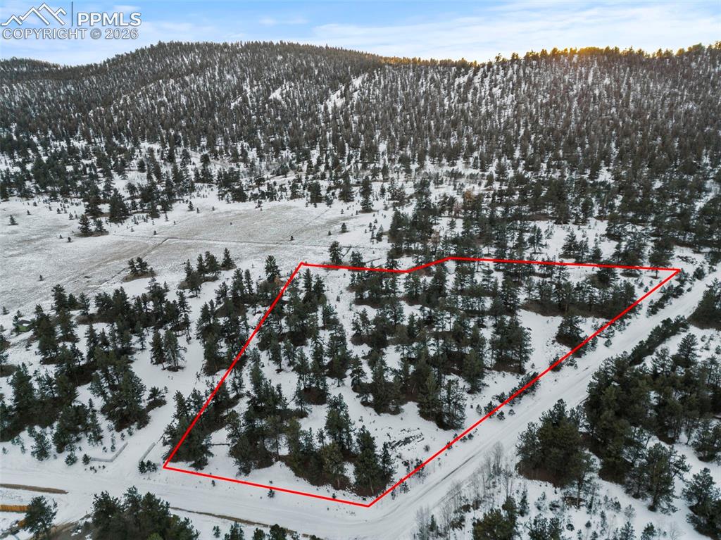 3948 S Muley Gulch Drive Hartsel CO 80449
