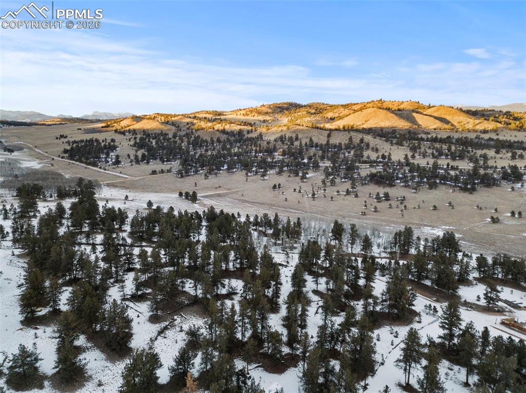 3948 S Muley Gulch Drive Hartsel CO 80449