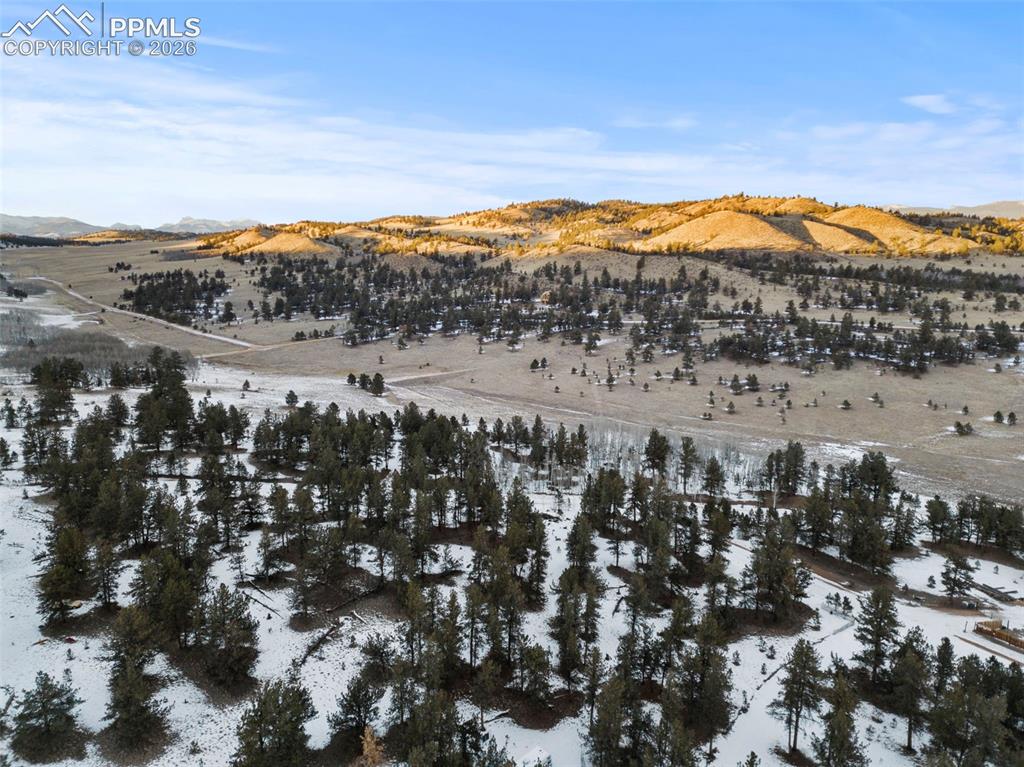 3948 S Muley Gulch Drive Hartsel CO 80449