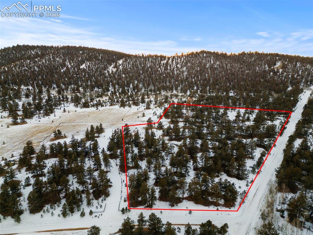 3948 S Muley Gulch Drive Hartsel CO 80449