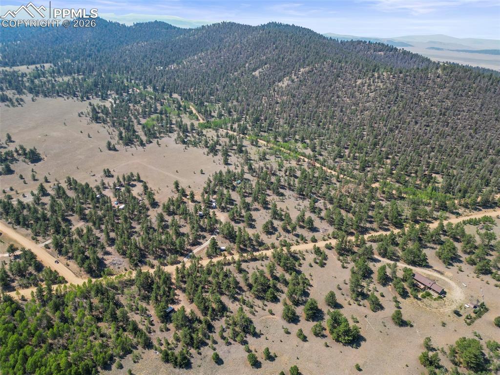 3948 S Muley Gulch Drive Hartsel CO 80449