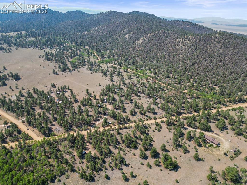 3948 S Muley Gulch Drive Hartsel CO 80449