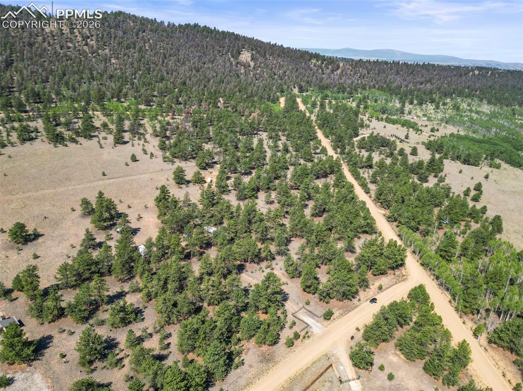 3948 S Muley Gulch Drive Hartsel CO 80449