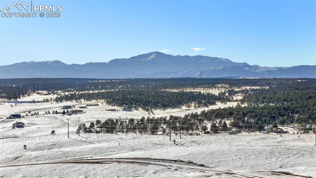 10282 Alamar Way Colorado Springs CO 80908