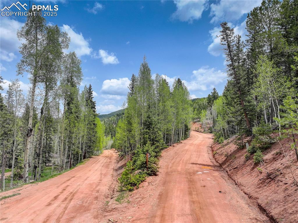 416 Willow Road Divide CO 80814
