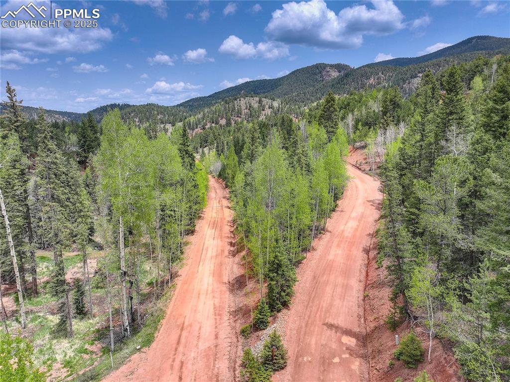 416 Willow Road Divide CO 80814