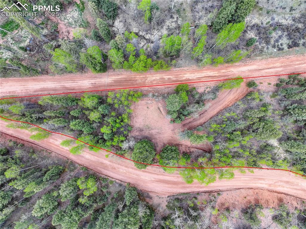 416 Willow Road Divide CO 80814