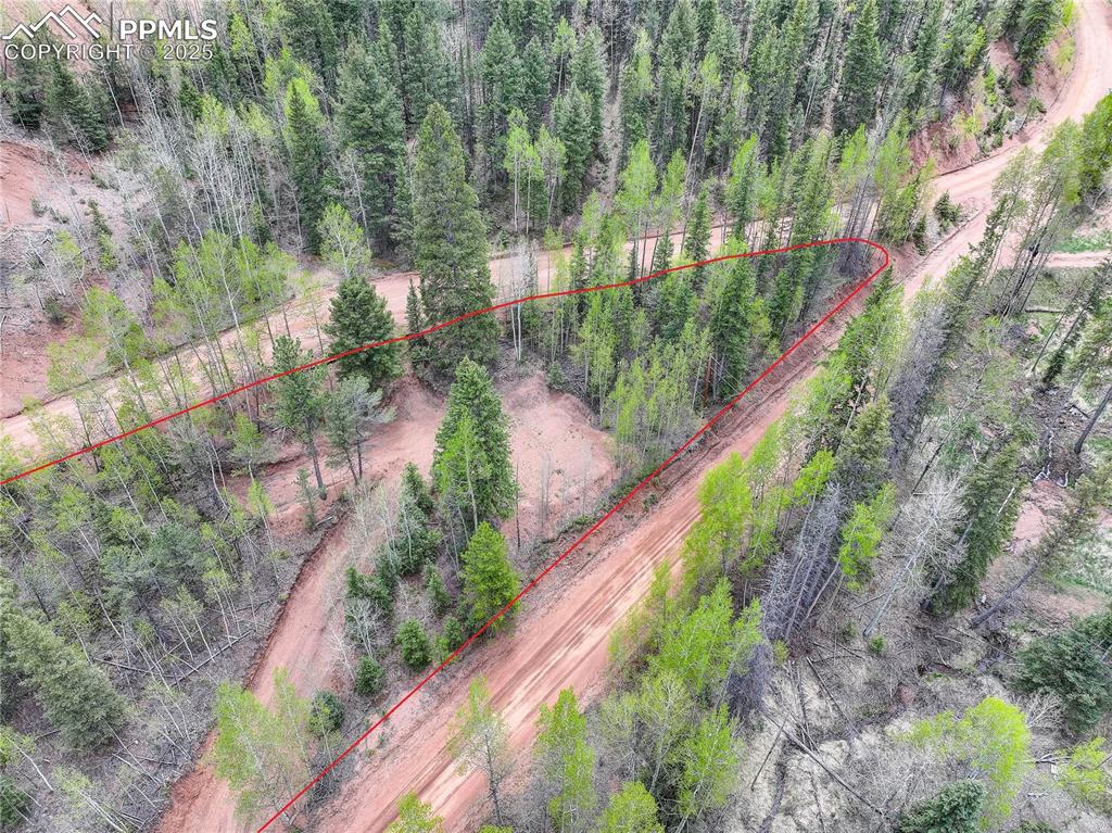 416 Willow Road Divide CO 80814