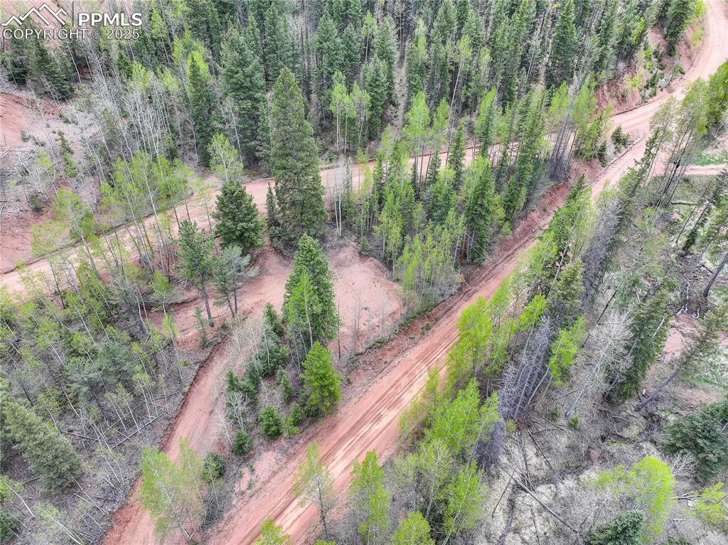 416 Willow Road Divide CO 80814