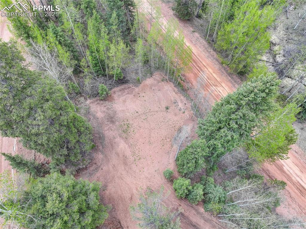 416 Willow Road Divide CO 80814