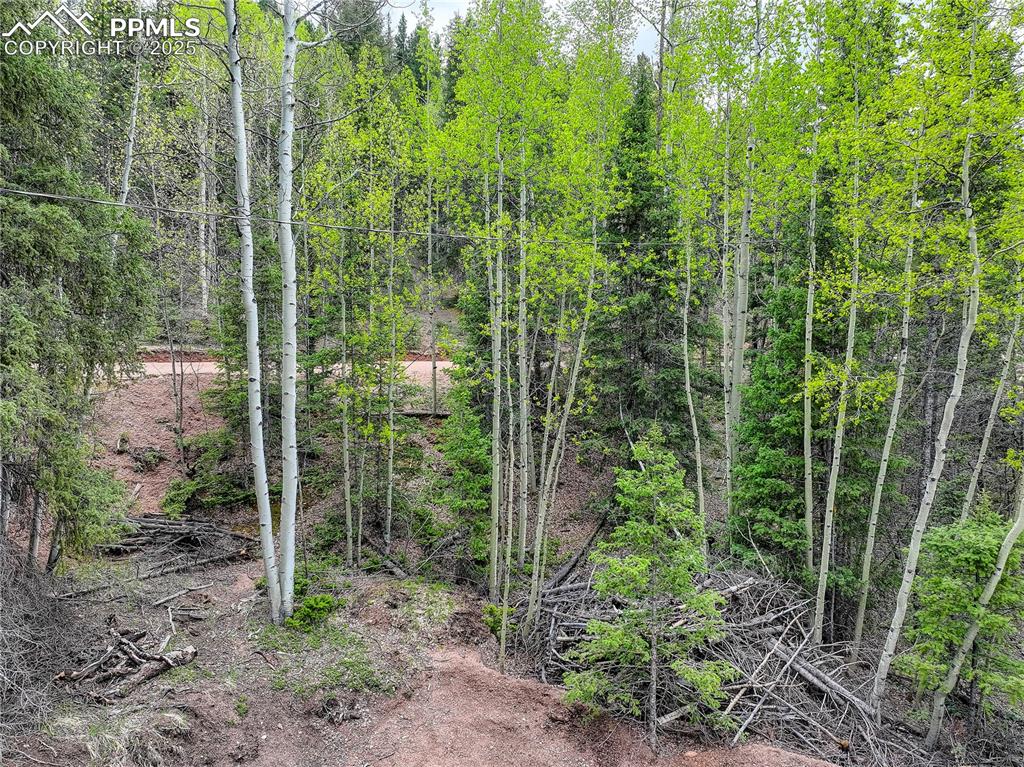 416 Willow Road Divide CO 80814