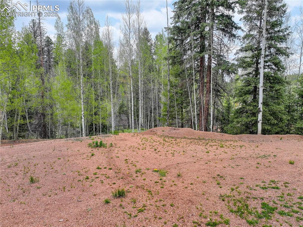416 Willow Road Divide CO 80814