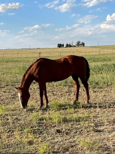 6060 Coyote Lane Peyton CO 80831